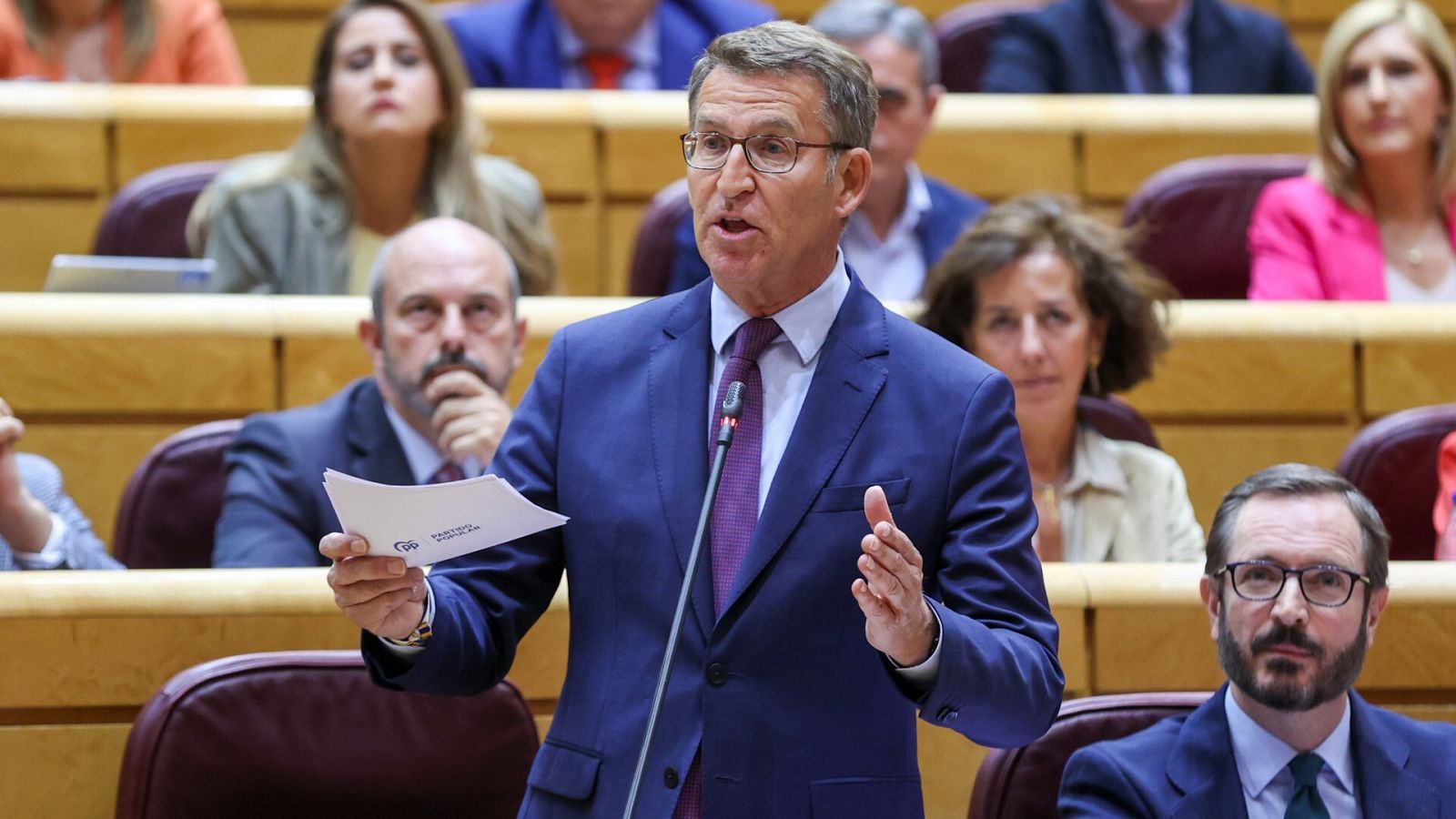 El presidente del Partido Popular, Alberto Núñez Feijóo, en el Senado