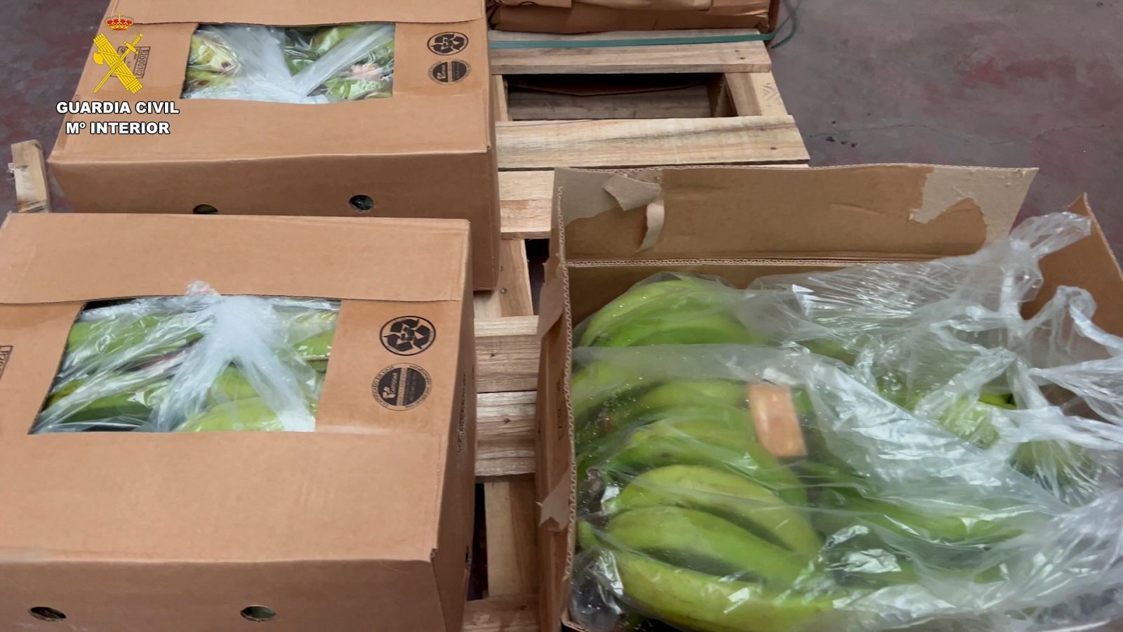 La Guardia Civil ha detenido a 13 personas por intentar introducir más de 6,5 toneladas de cocaína en contenedores de bananas por el puerto de Algeciras desde Sudamérica