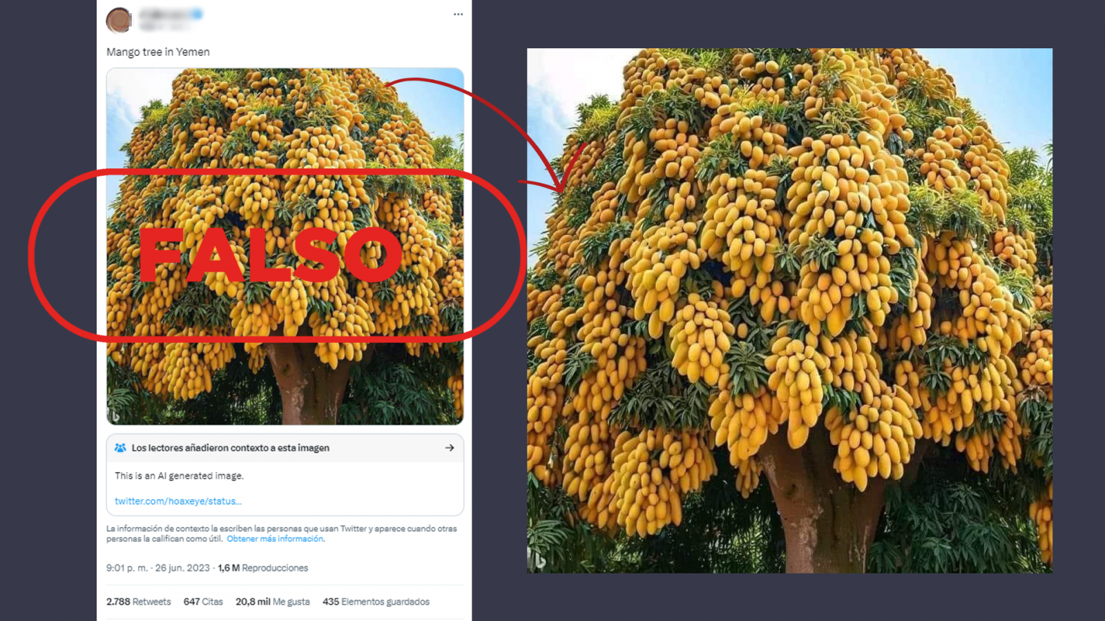 Mensaje de Twitter que comparte la imagen de un árbol de mangos generado por Inteligencia Artificial, con el sello Falso de VerificaRTVE en rojo