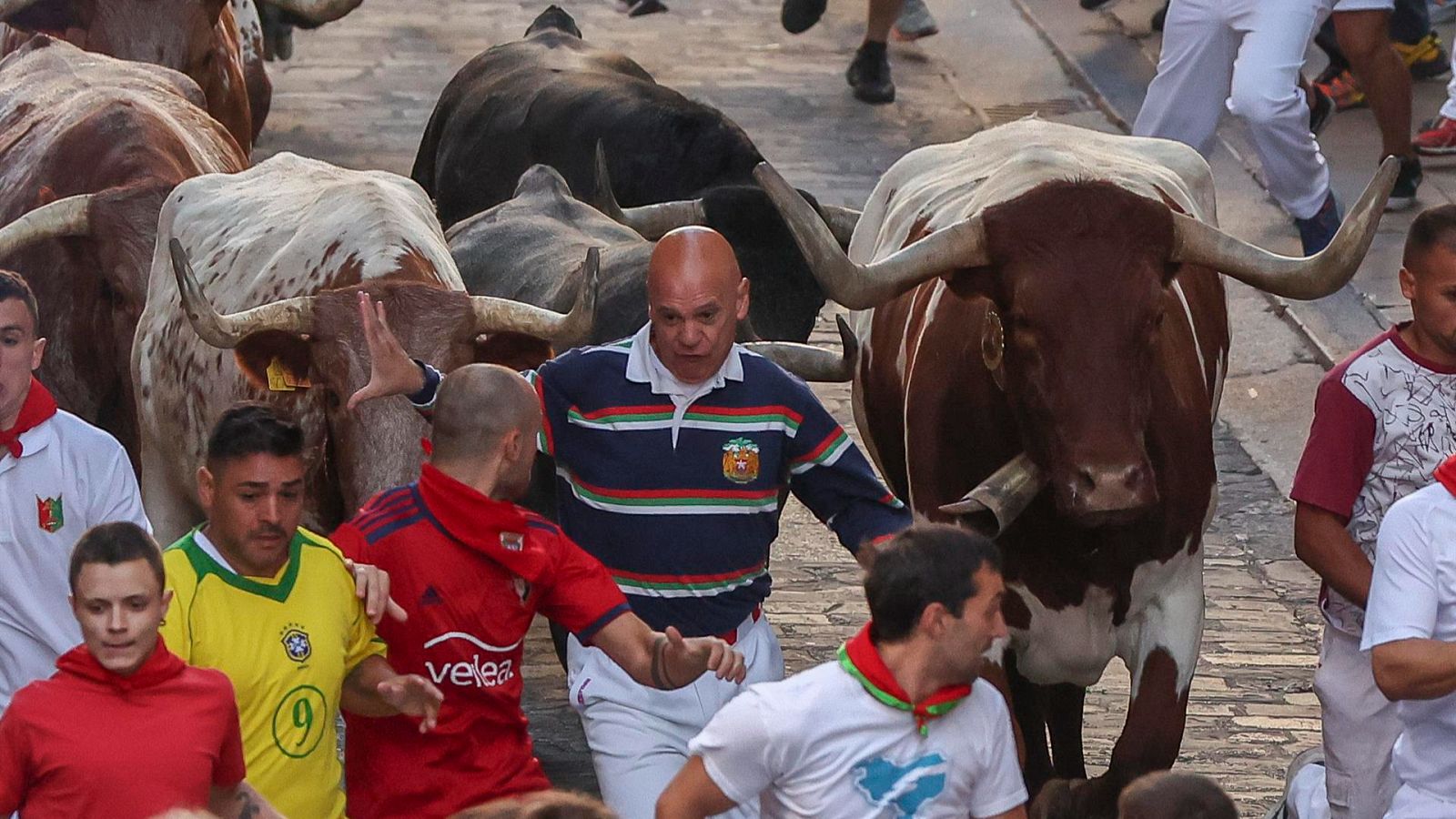 Segundo encierro de San Fermín 2023: hora, dónde ver y ganadería