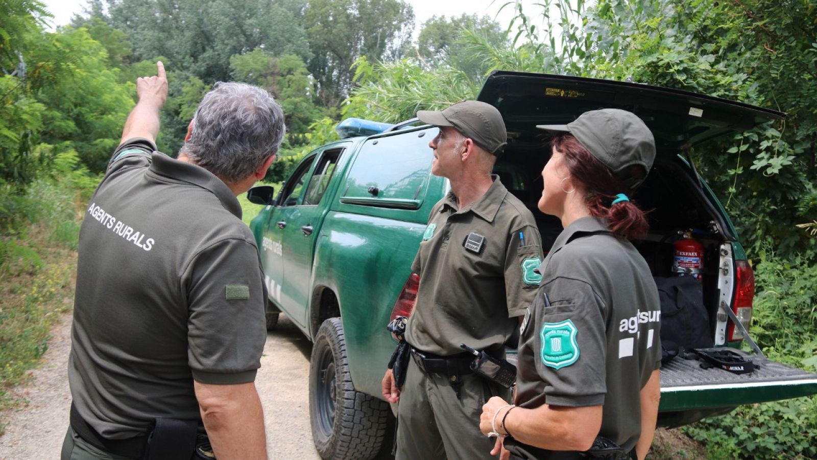 Agents rurals treballant en la prevenció d'incendis