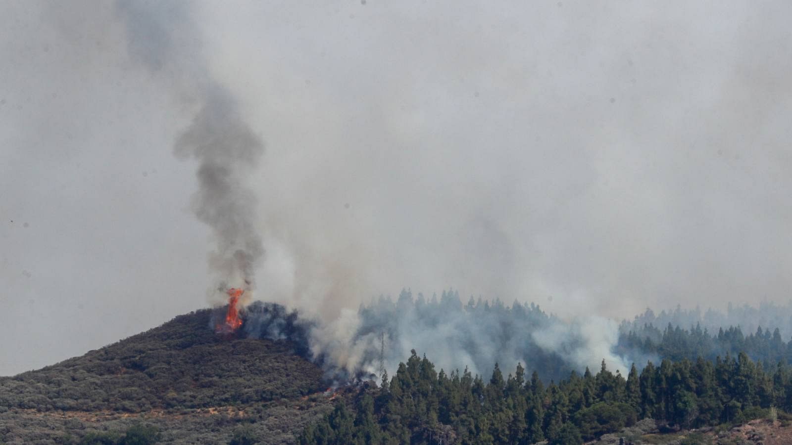 Incendio forestal en Gran Canaria