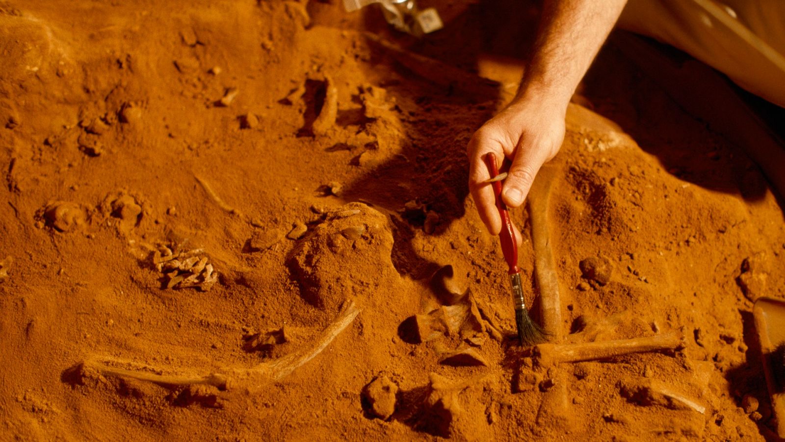 Trabajos en un yacimiento arqueológico, en una imagen de archivo