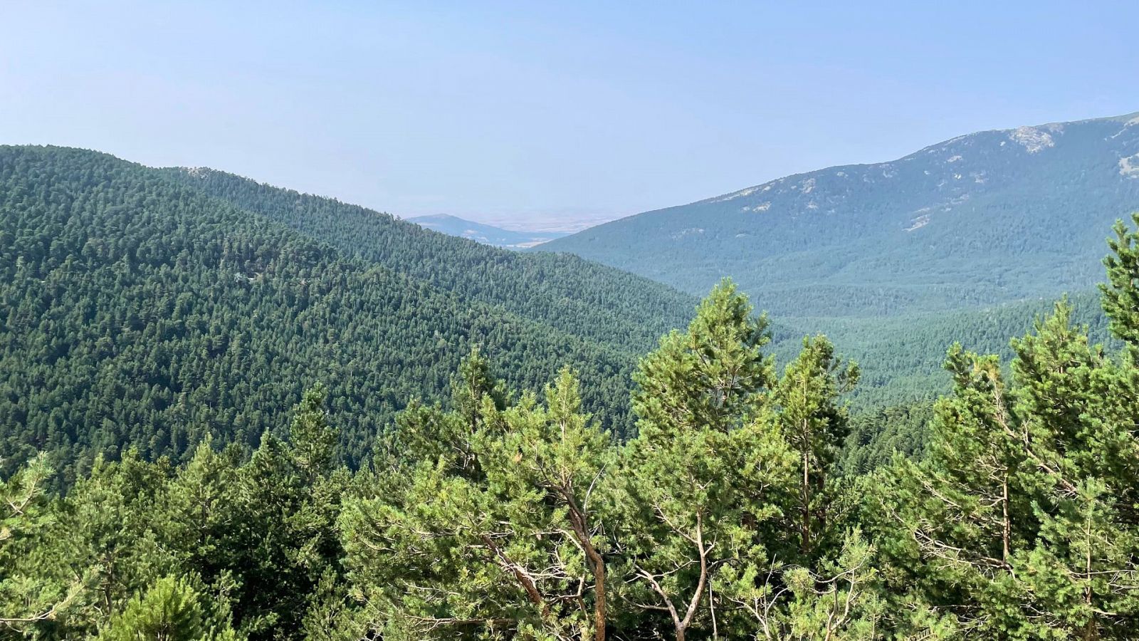 Vistas desde el puerto de Navacerrada hacia el monte de Valsaín