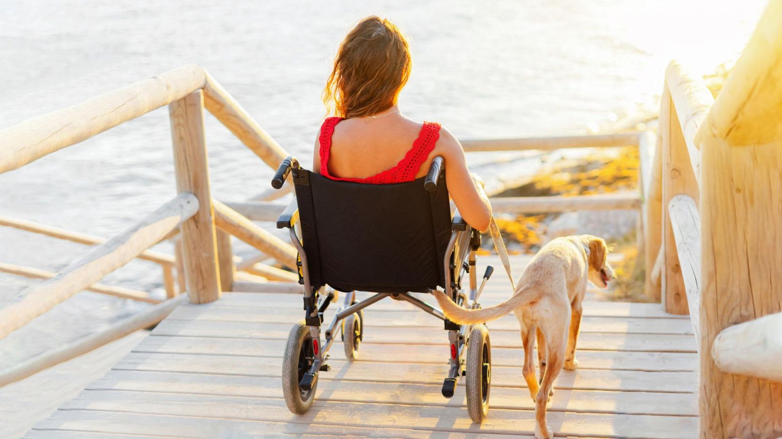 Una mujer en silla de ruedas en la playa con su perro, en una imagen de archivo