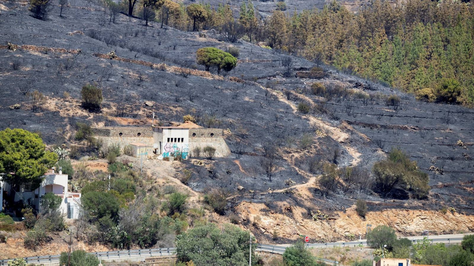 Una de les zones de Colera en què les flames han quedat a tocar dels habitatges | EFE