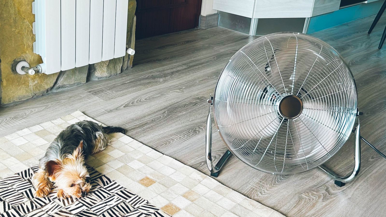 Un perro se tumba al lado de un ventilador