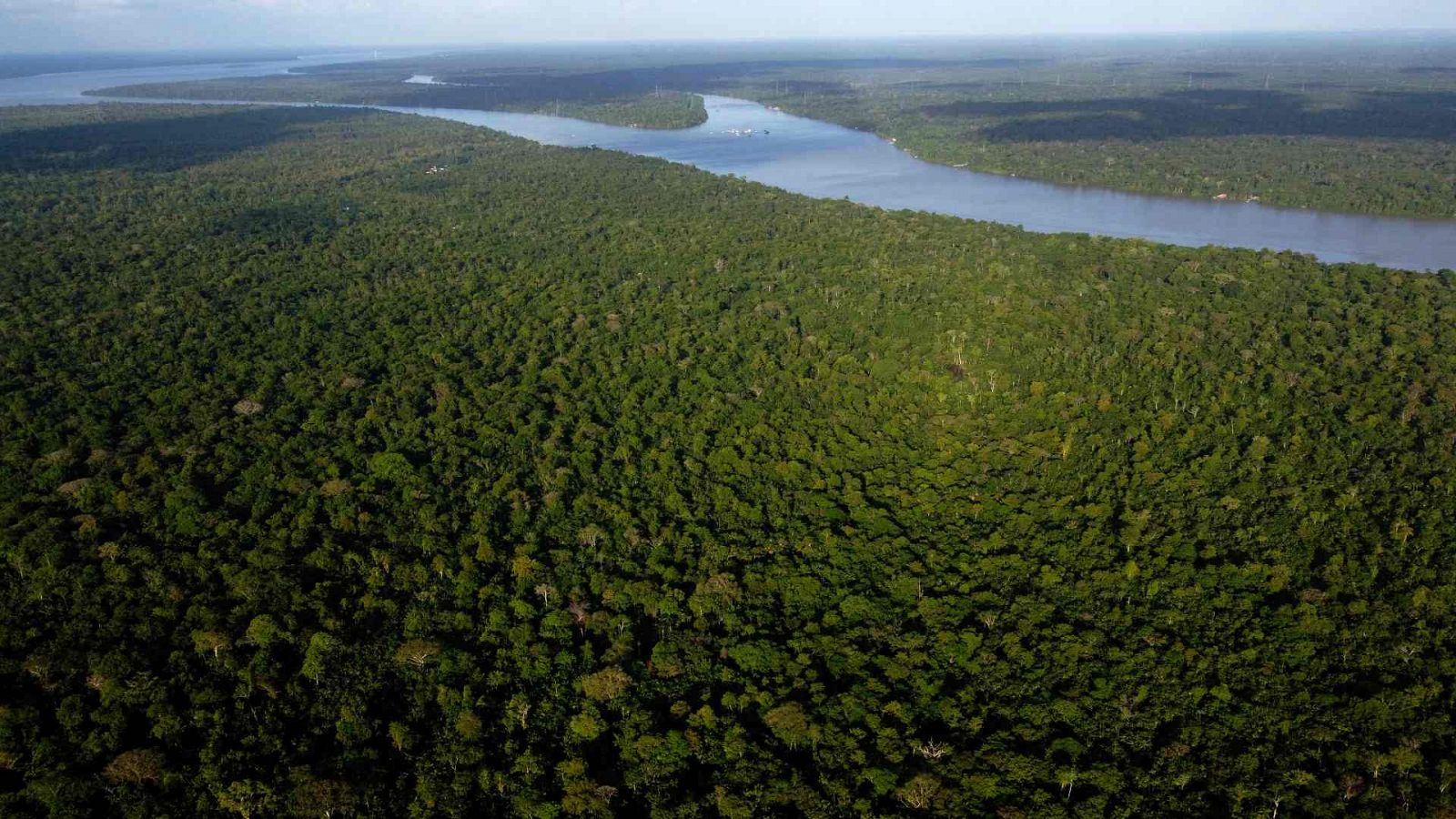 Vista de la selva en la isla de Combu, a orillas del río Guama, cerca de la ciudad de Belem, en Brasil.