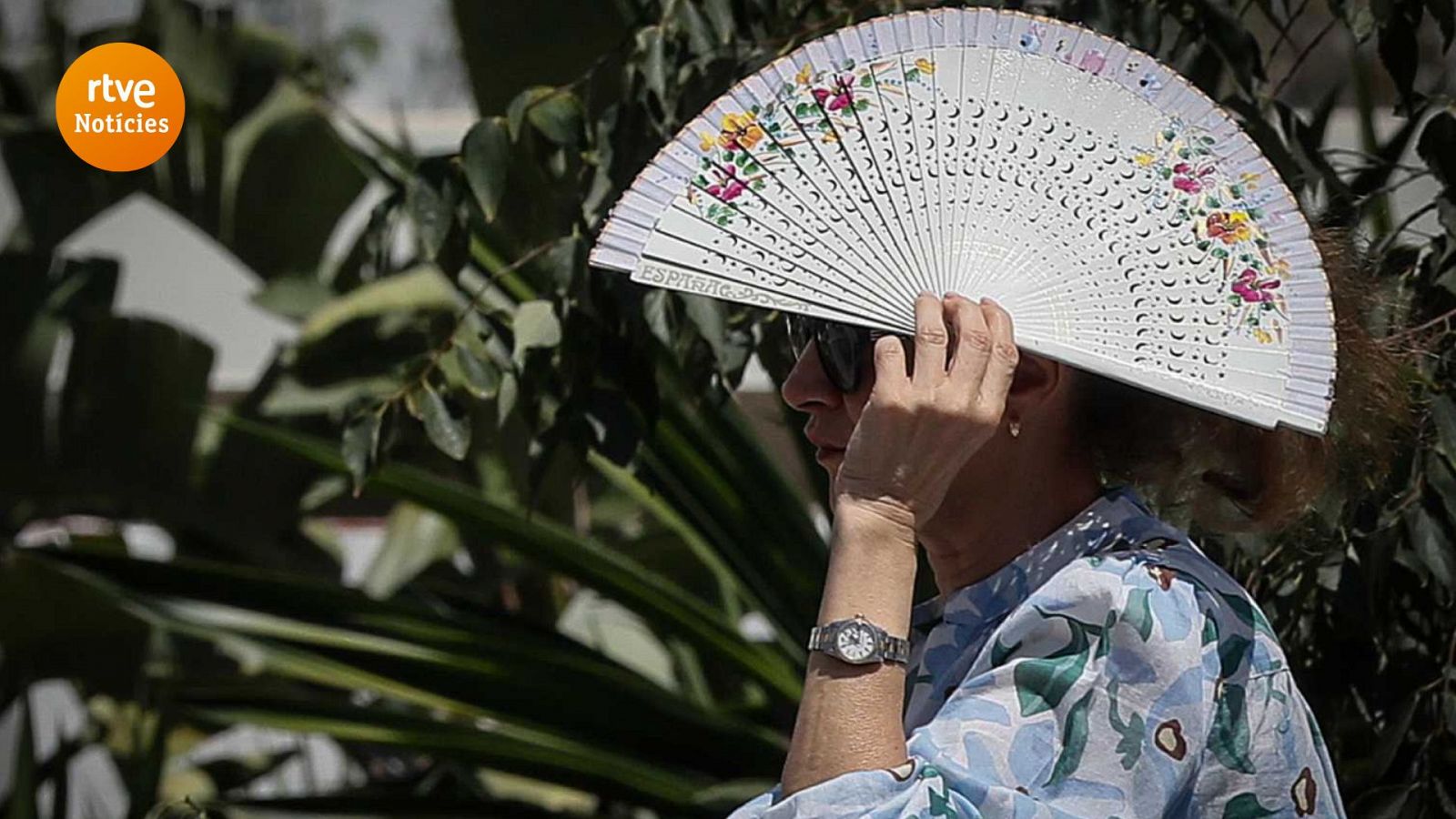 Les temperatures tornen a fregar els 40 graus