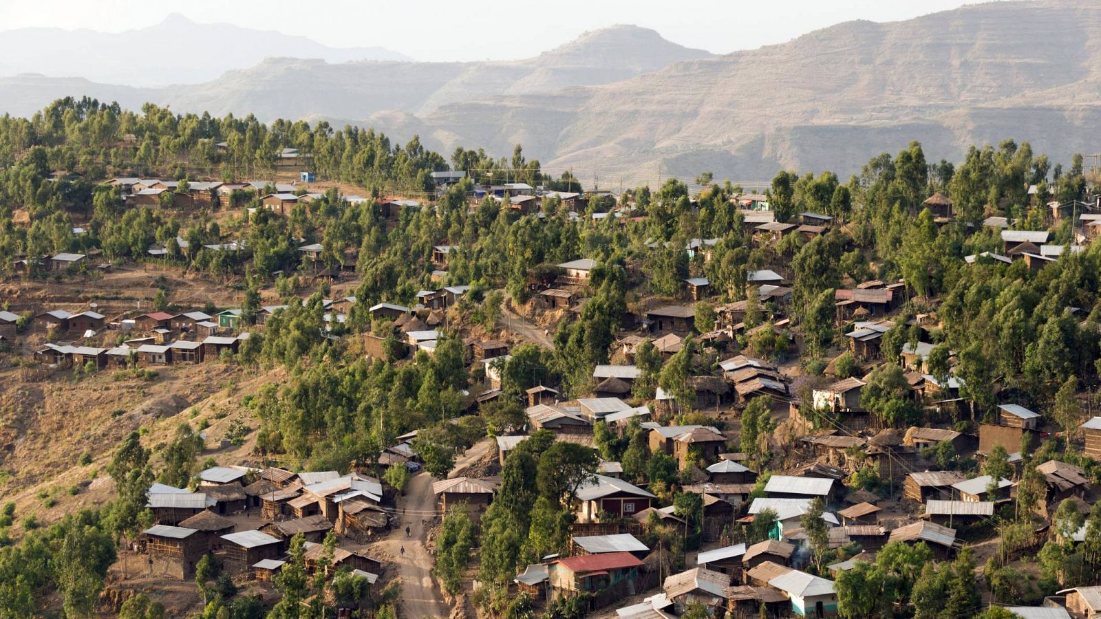 Casas humildes en unas colinas verdes