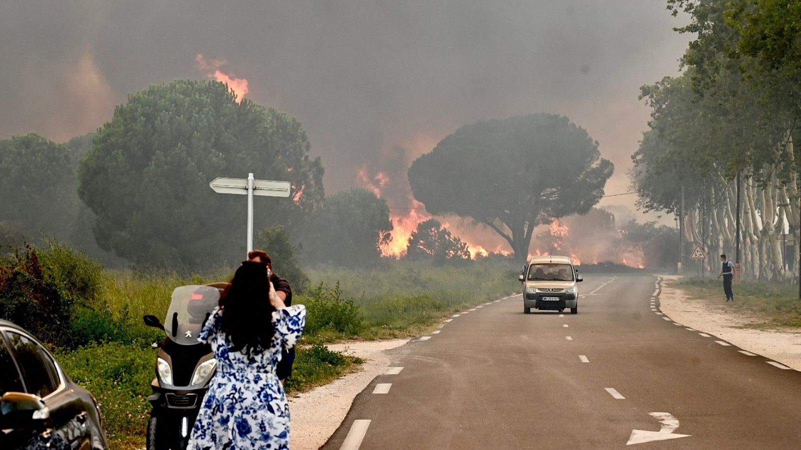 El fuego avanza junto a una carretera con árboles y pinos