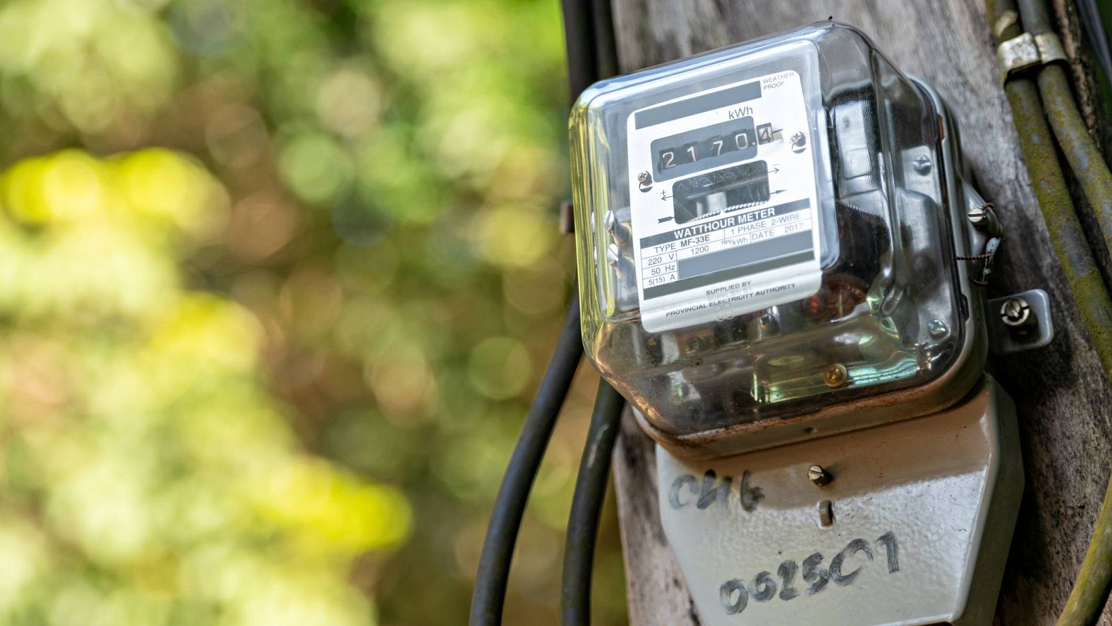 Contador de la luz en un exterior con vegetación.