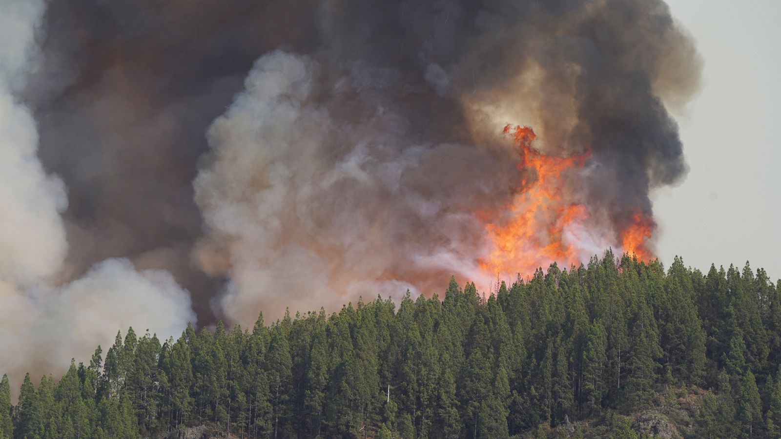 Un incendio forestal arrasa miles de hectáreas en Tenerife