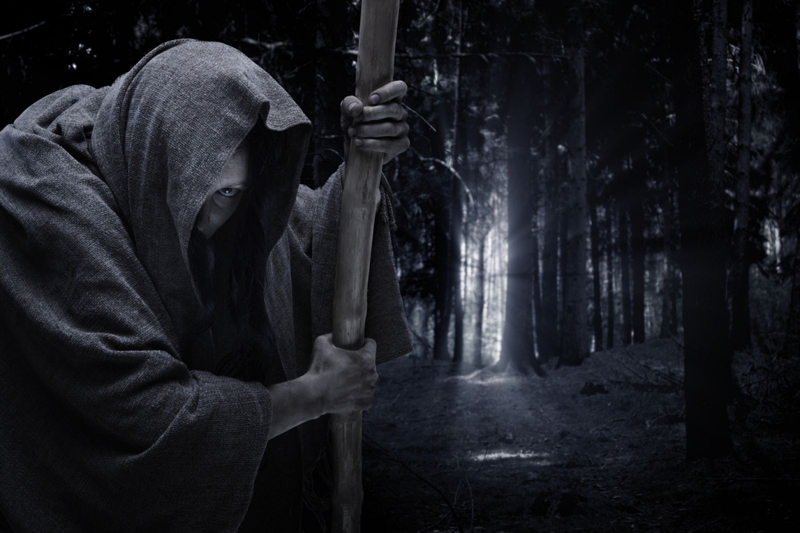 Imagen de archivo de una bruja en el bosque, el que suele ser su hábitat natural.