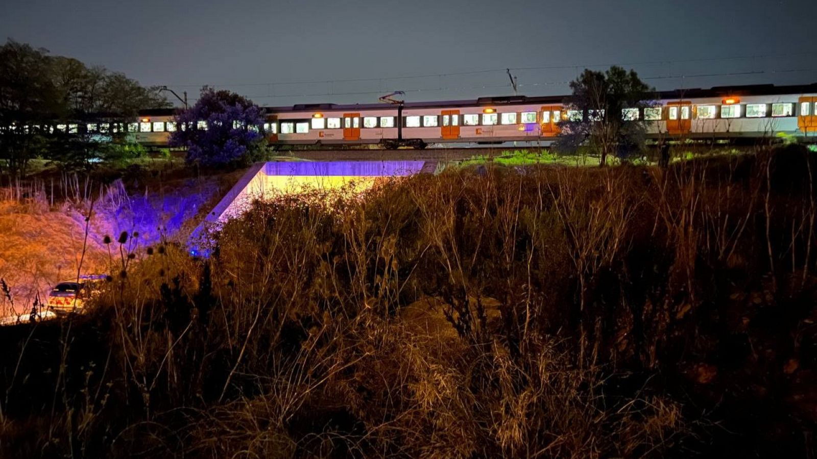 El tren de la R3 que ha atropellat el grup de persones aturat en un pont | ACN