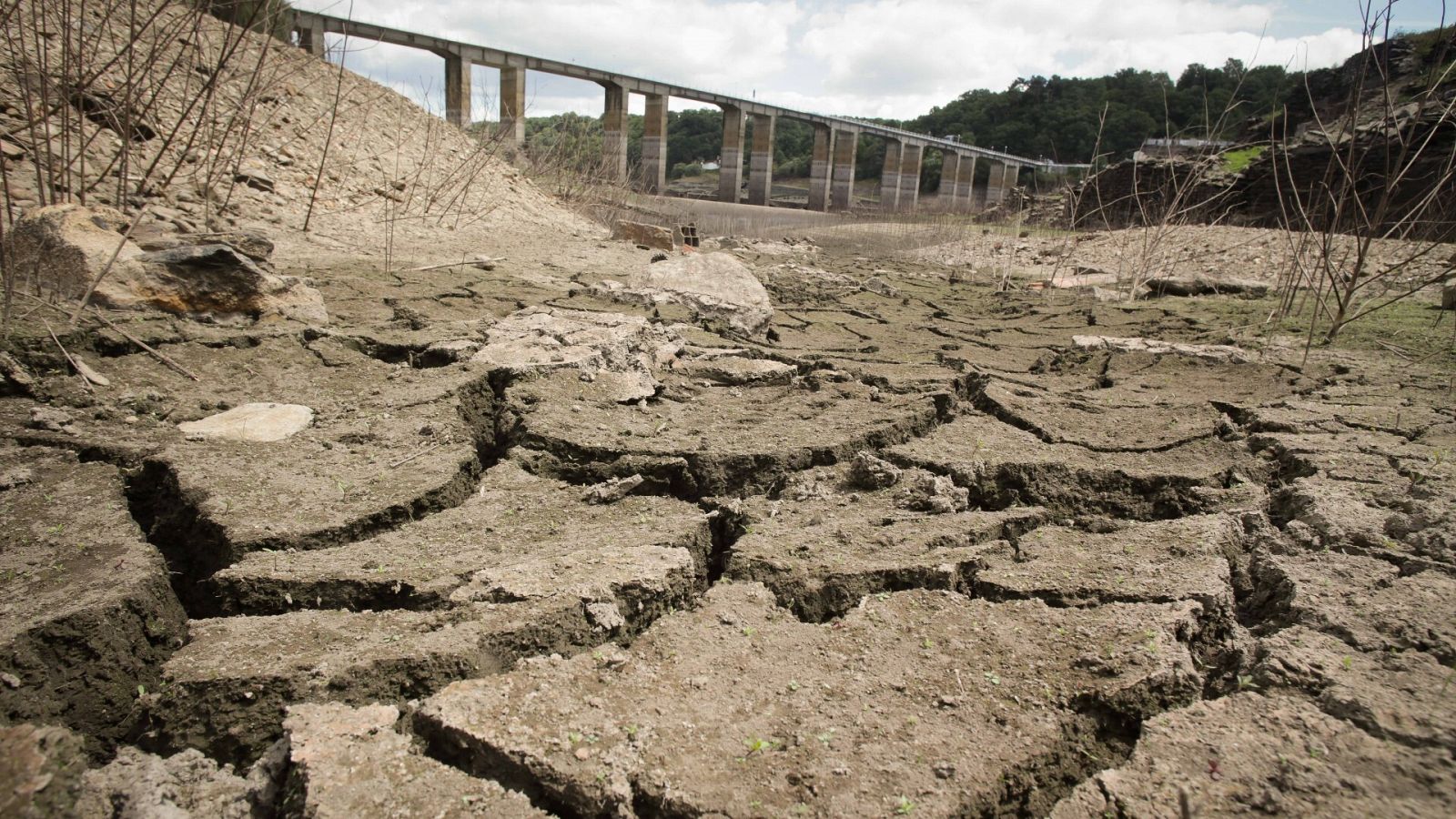 La sequía empuja al campo a una siniestralidad récord de más de 1.000 millones de euros