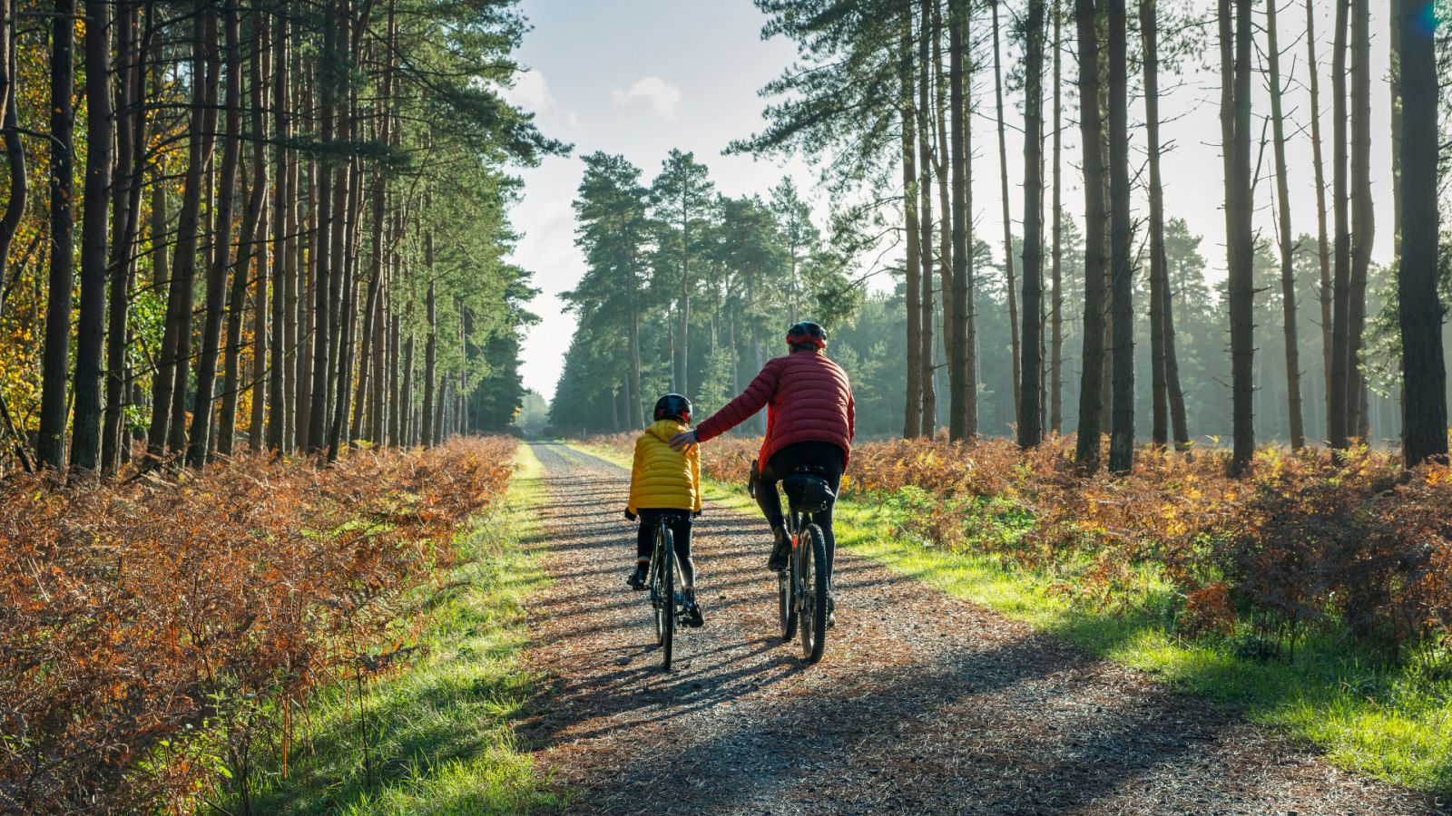Un adulto y un niño pedalean por un camino rural