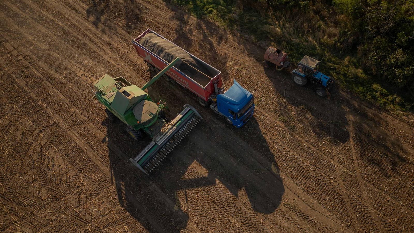 Cosechadora en un campo de girasol en Ucrania. Foto: Roman PILIPEY / AFP