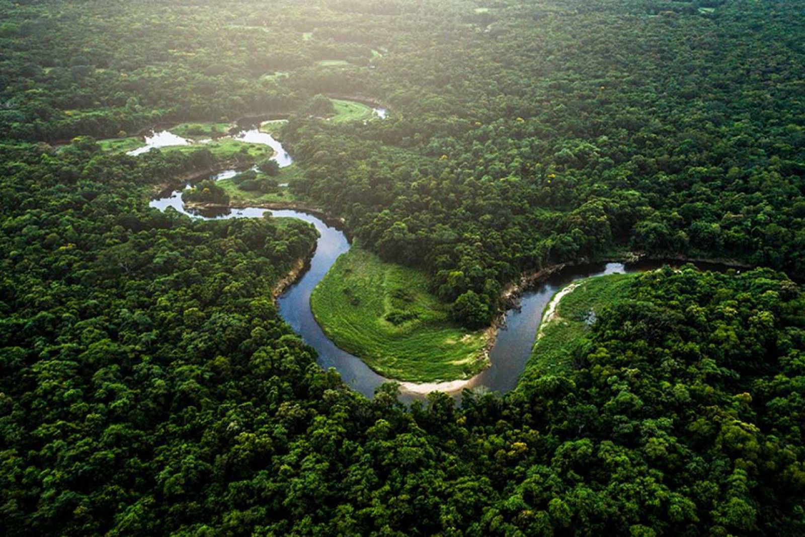 BRASIL