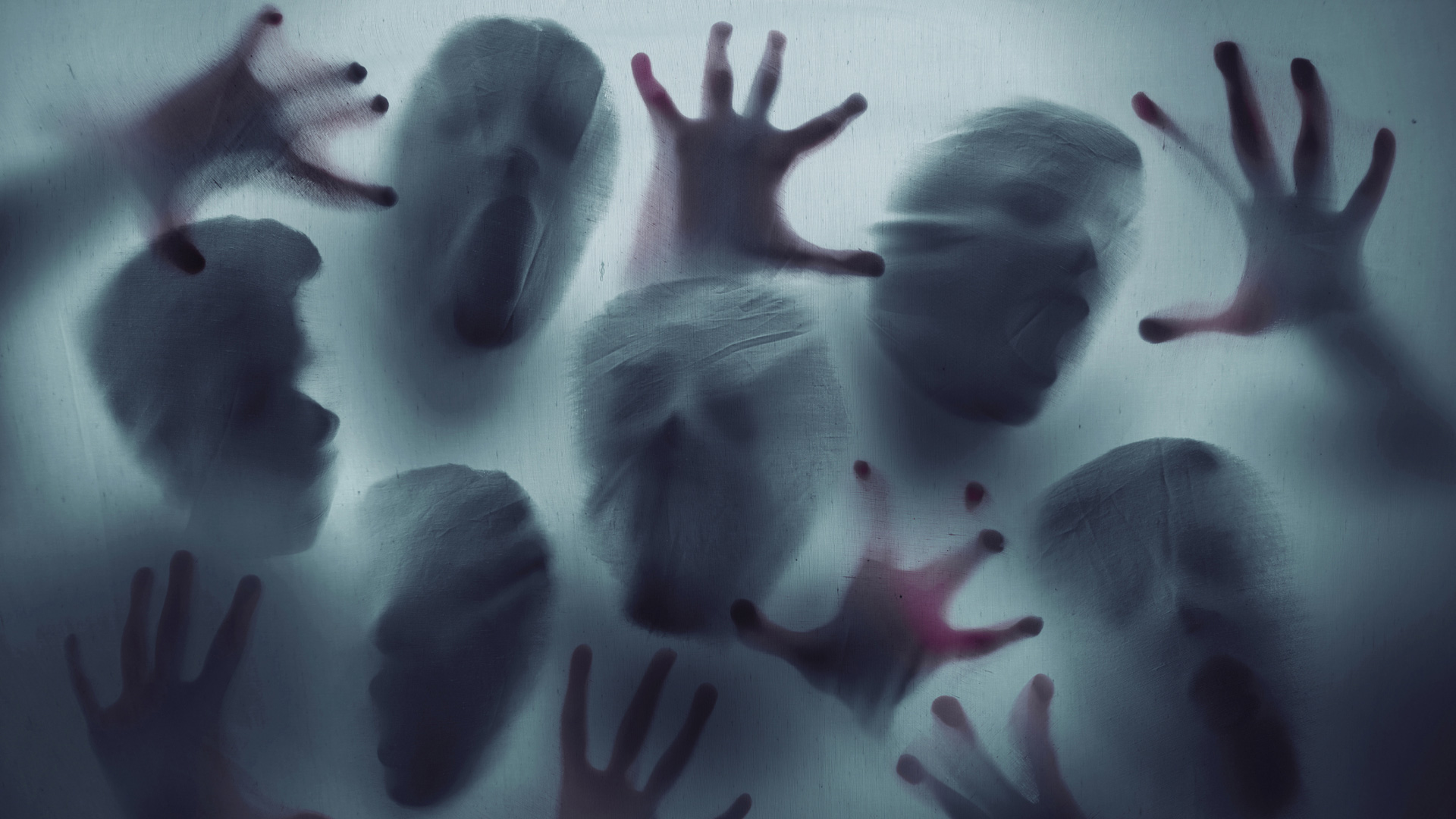 Para pasar miedo este Halloween Para pasar miedo este Halloween