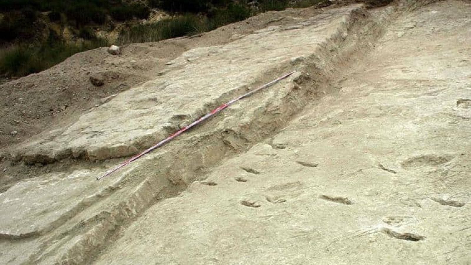 Yacimiento de La Sierra de las Cabras, en el que han aparecido las huellas del Aenigmatipocus jumillensis.