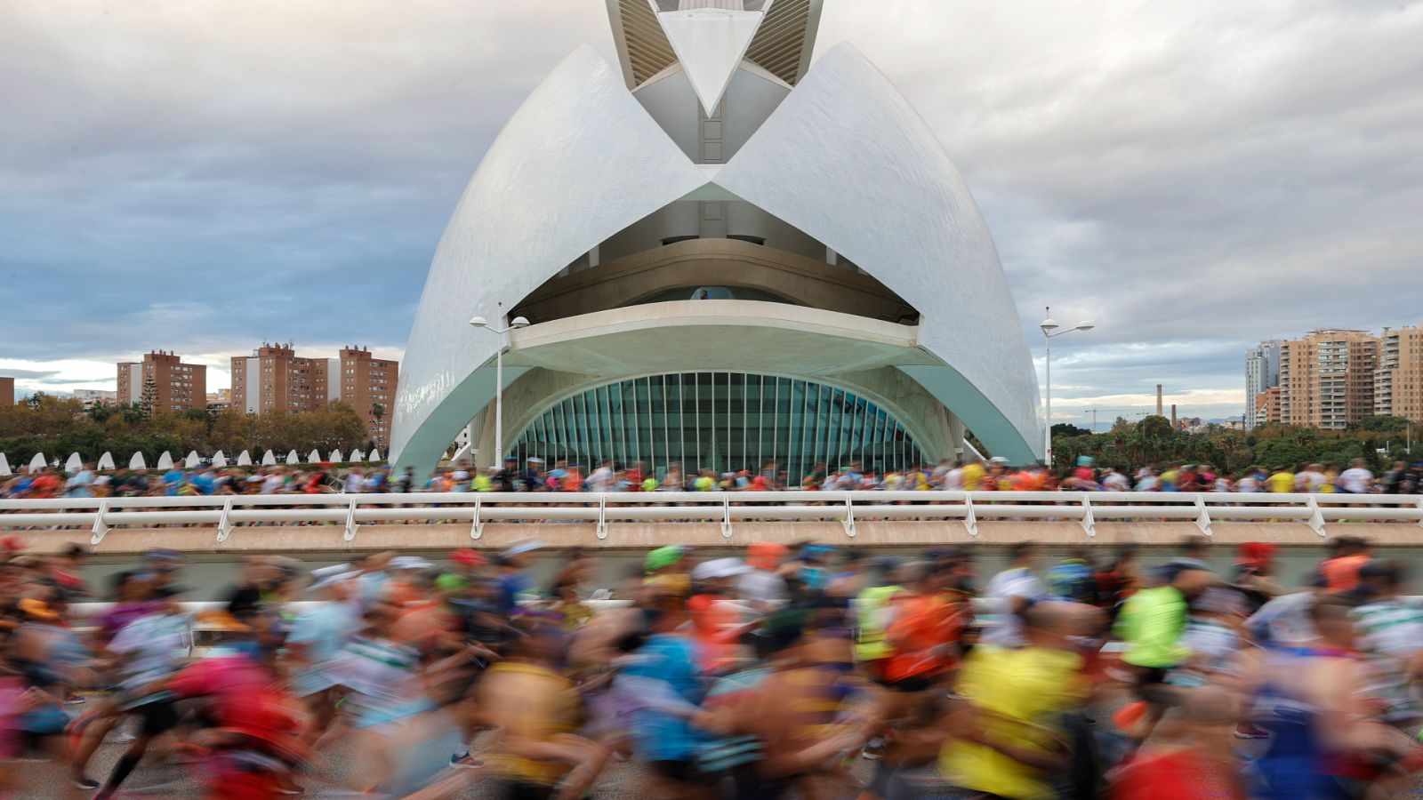 Maratón de Valencia 2022