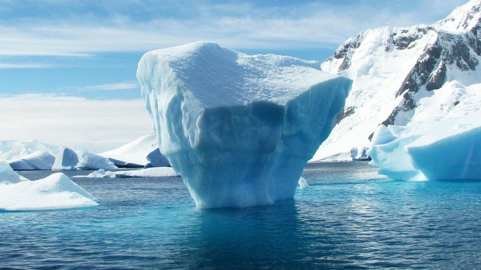 Antrtida vida sota el gel, COP28 i Eixarcolant
