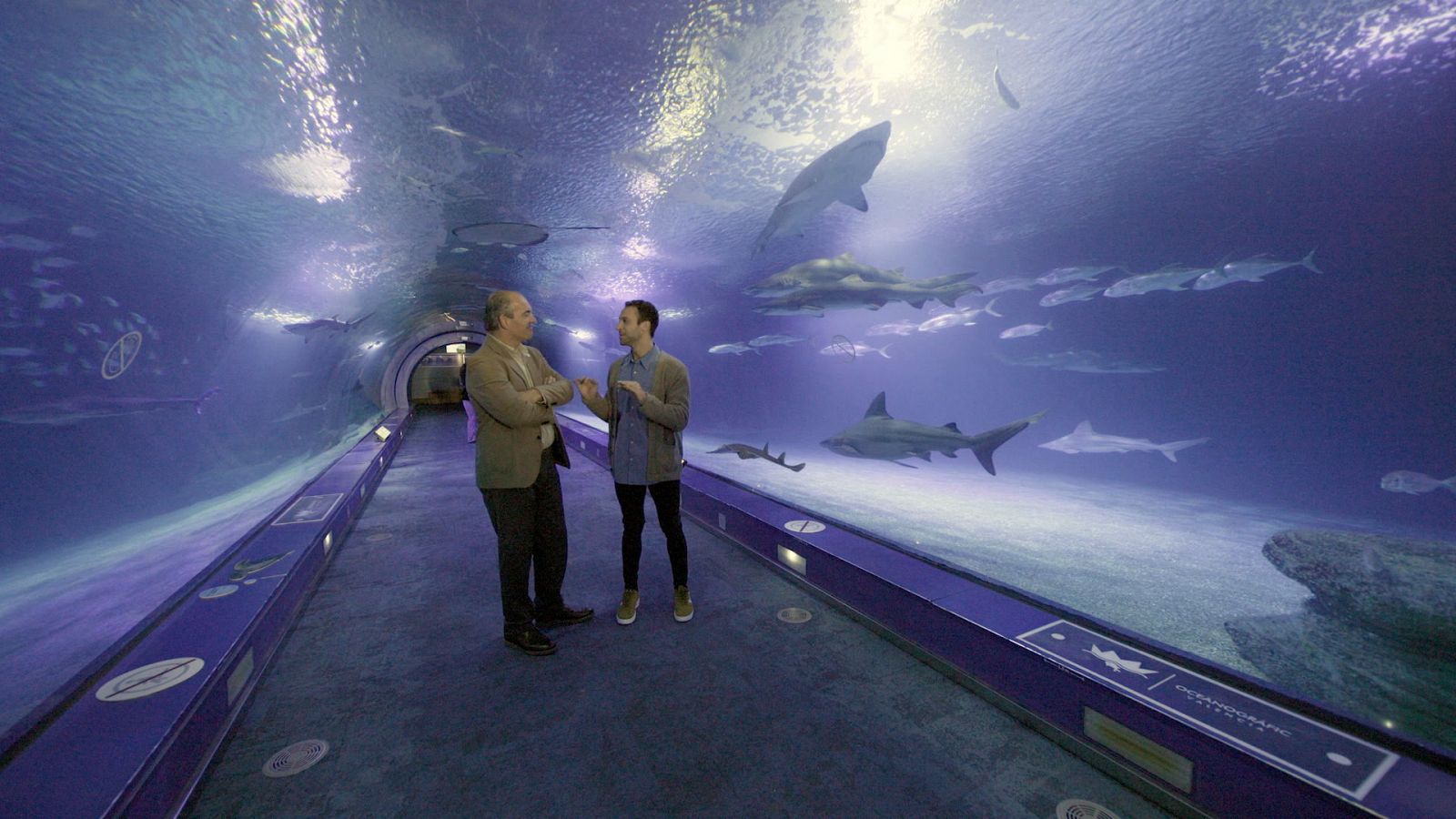 Marc Santandreu charla con uno de los invitados al programa en el Oceanogràfic de Valencia