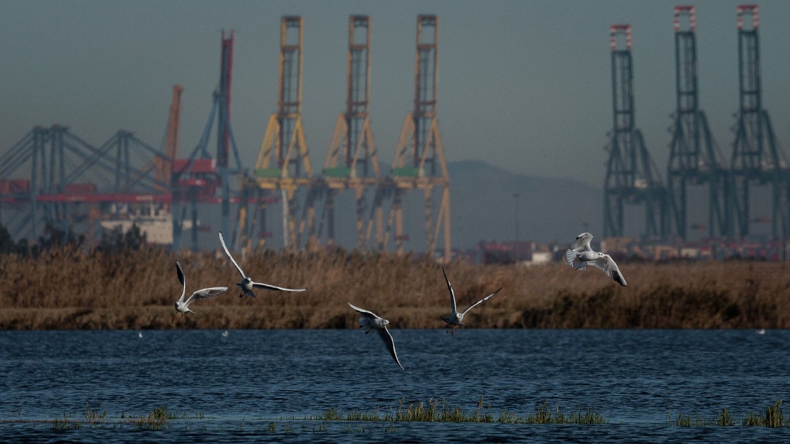 Todo sobre la próxima ampliación del puerto de Valencia: las claves de la obra