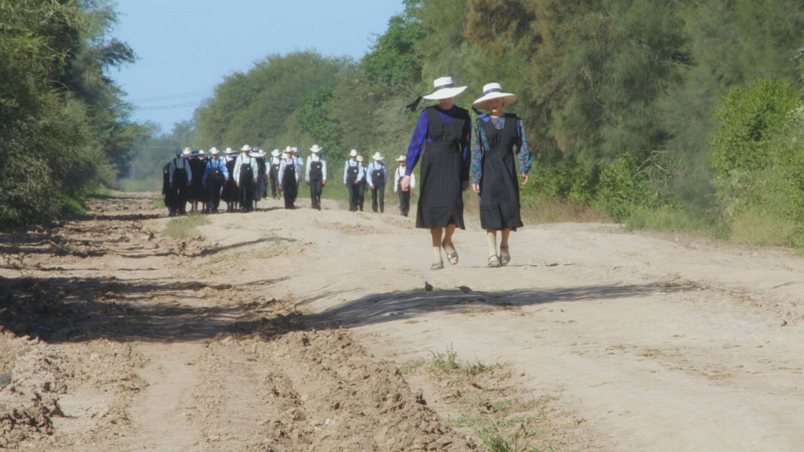 Dos mujeres y varios hombres menonitas caminan.