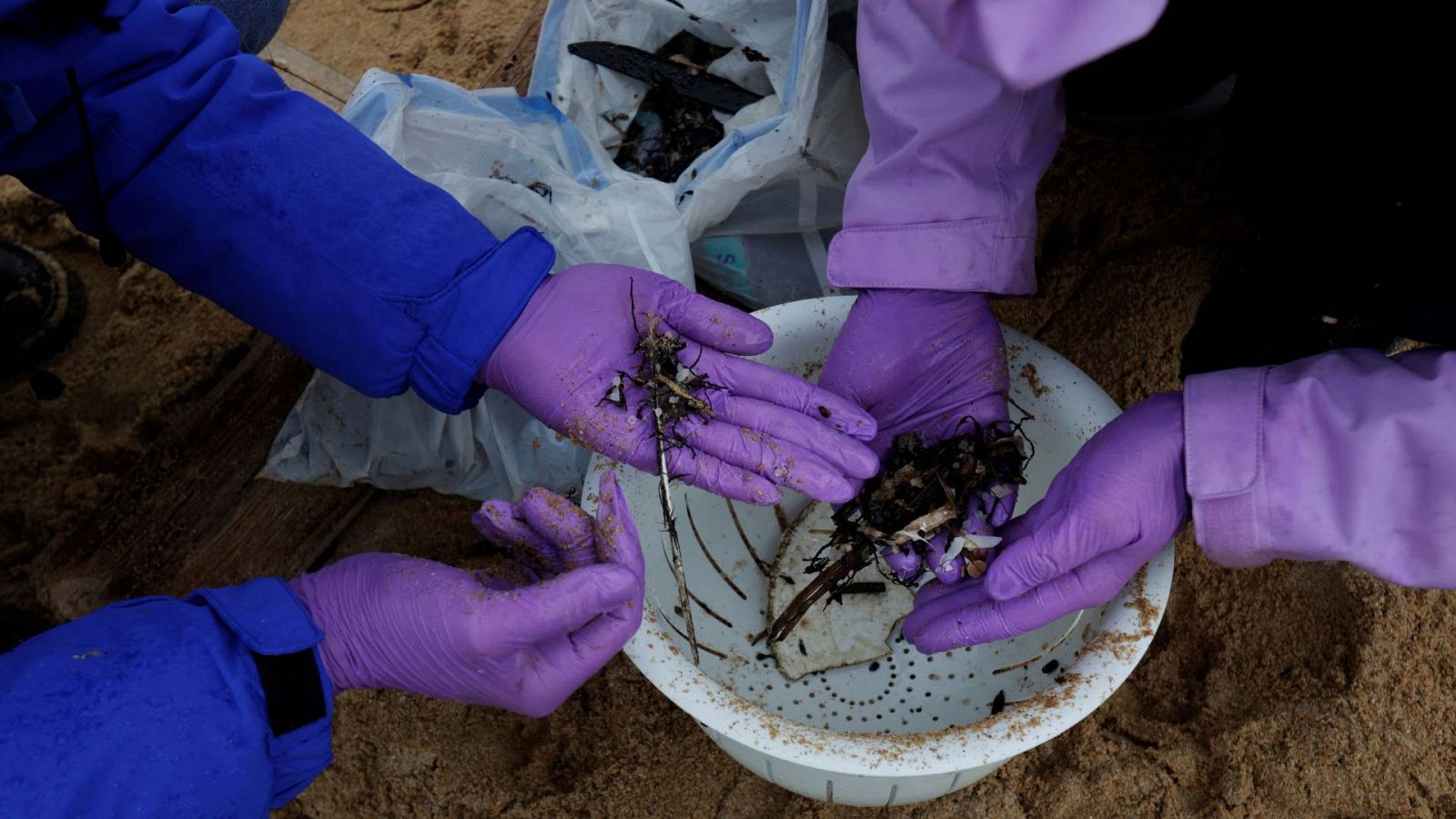 Voluntarios limpian el vertido de pellets de plásticos