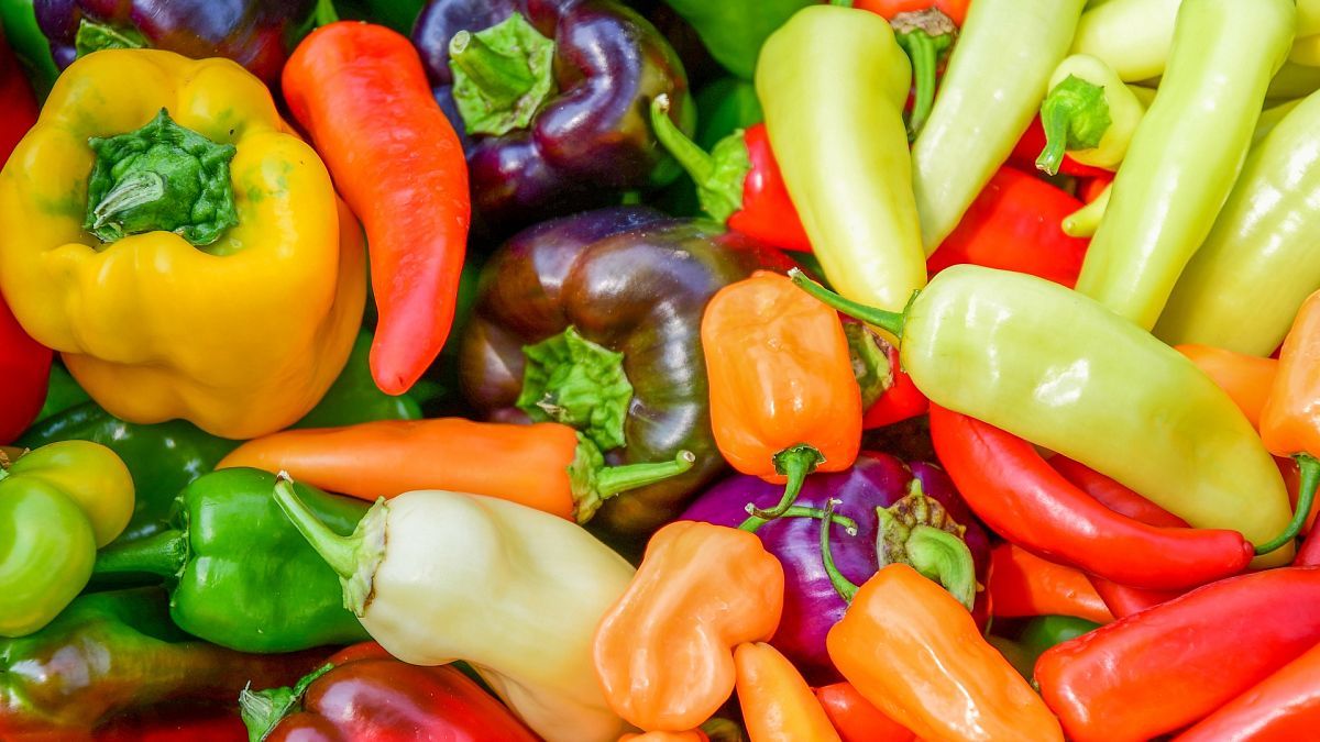 Los pimientos rojos a la sombra del tomate