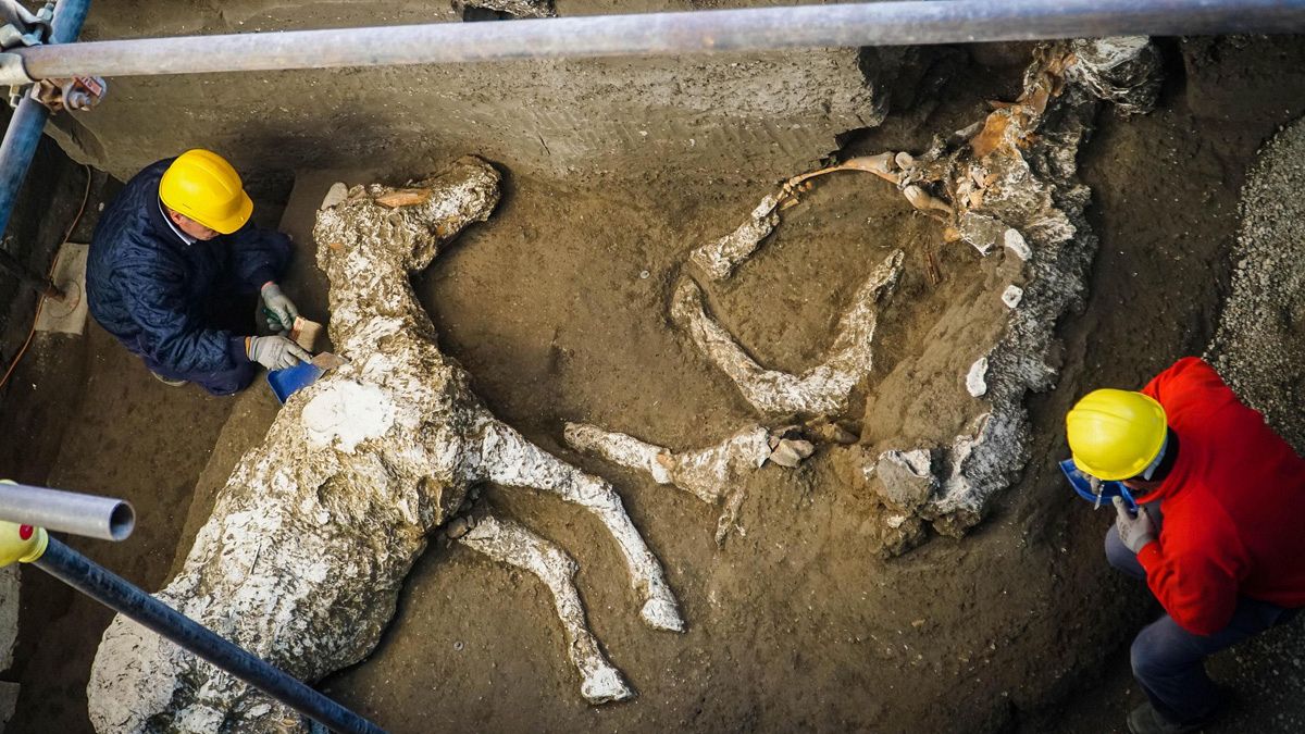 Los arqueólogos trabajando en un antiguo establo en Pompeya