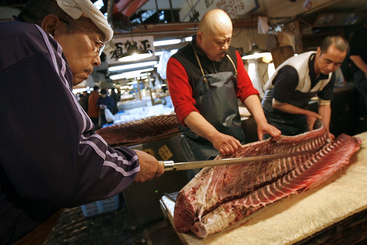 A wholesaler cuts a tuna at the Tsukiji fish market in Tokyo