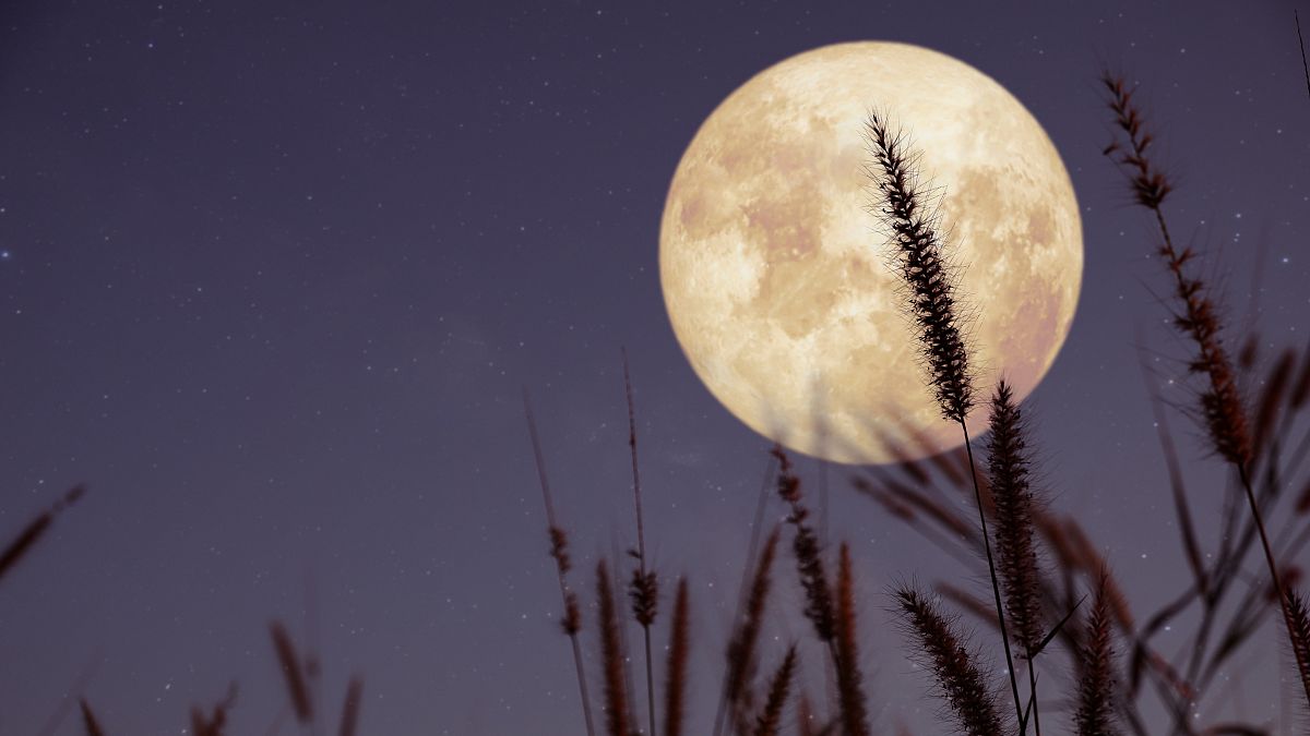 Imagen de la Luna llena