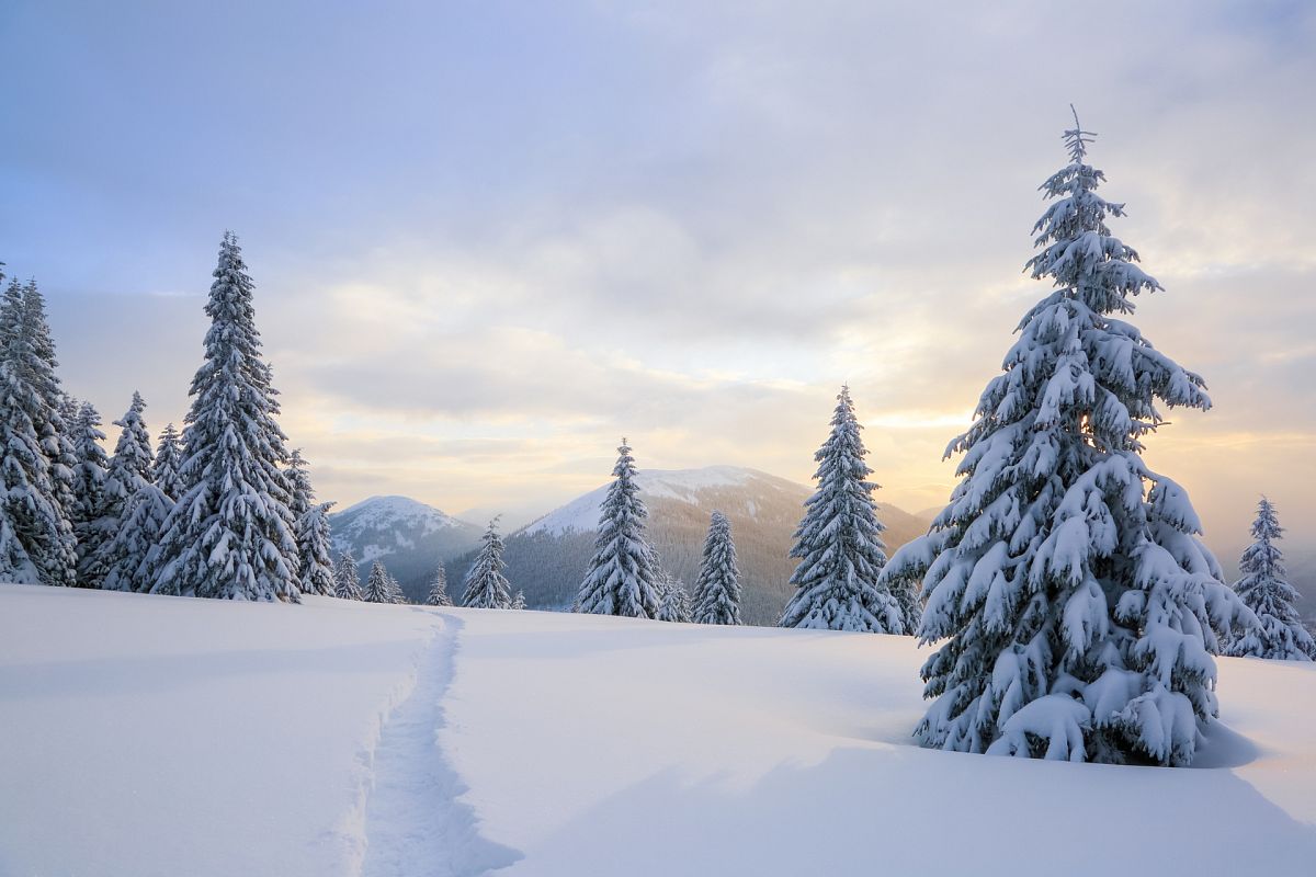 El invierno, una estación llena de misterios