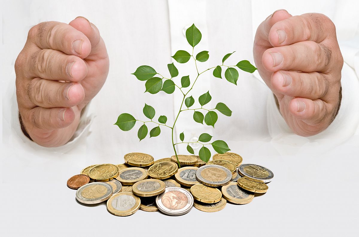 Manos cubirendo un árbol que nace de una pila de dinero.