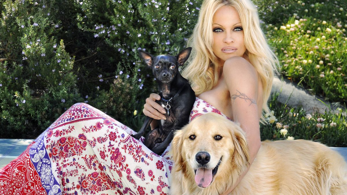 Pamela Anderson: de sex symbol a defensora de los animales