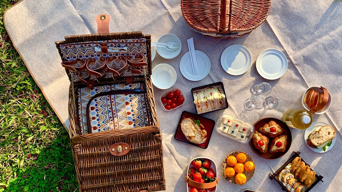 ¿Qué recetas puedo llevar a un picnic o si me voy de camping?