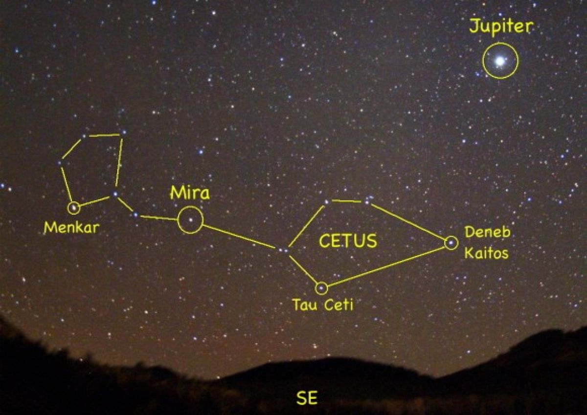 Descubren un nuevo planeta extrasolar que se encuentra en una zona habitable