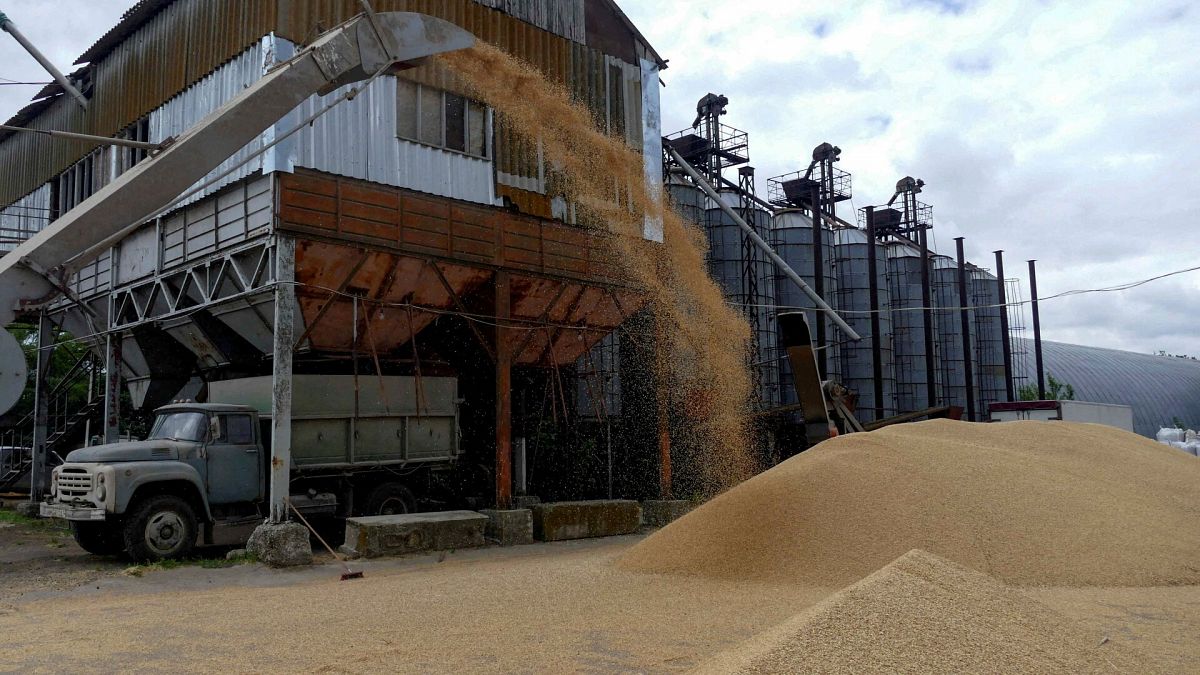 Una terminal de grano en la región de Odesa
