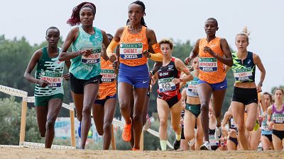 Emisin en directo de  de RTVE