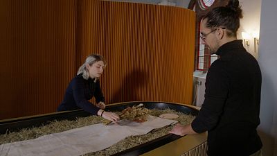 Emisión en directo de  de RTVE