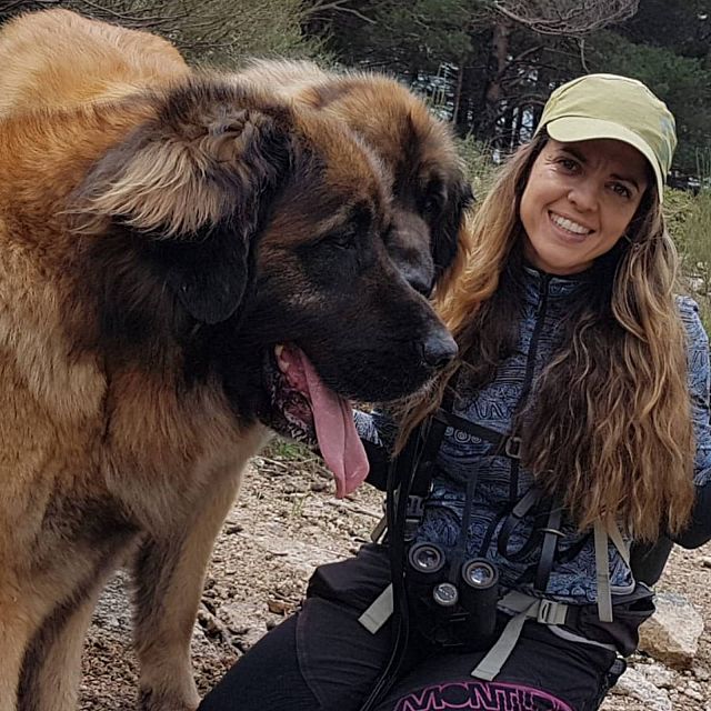 El mejor amigo del hombre