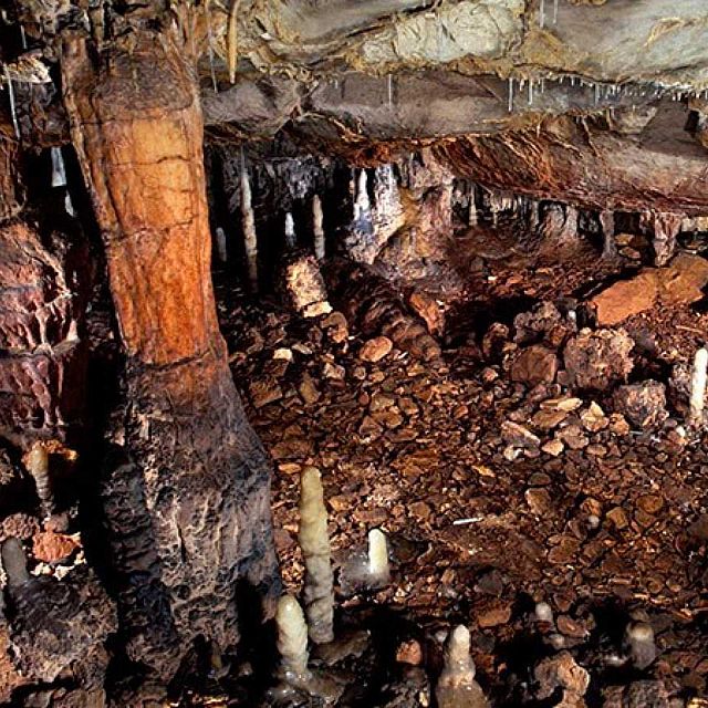 Tesoros prehistóricos y visigodos en la Cueva de la Garma