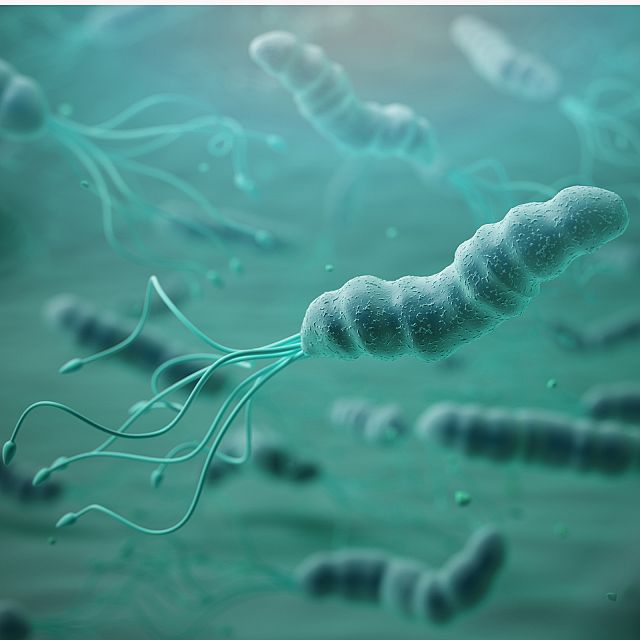 Enfermera saturada: Helicobacter Pylori