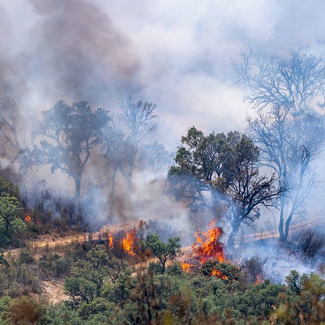 Incendio Sierra de Gata: "Los vecinos vuelven a sus casas"