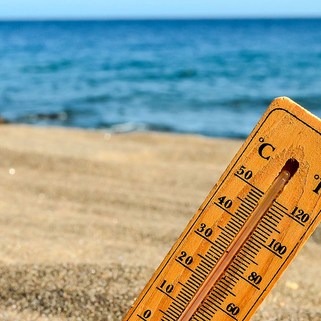 ¿Cómo afecta el aumento de temperatura del Mediterráneo?