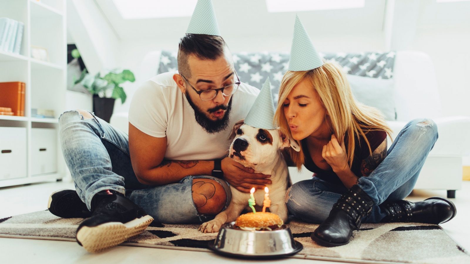 Una pareja celebra el cumpleaños de su perro.