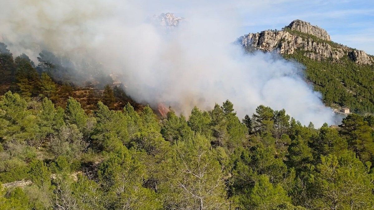 Zona afectada per l'incendi declarat el 20 de març al Baix Ebre, entre Xerta i Paüls | ACN